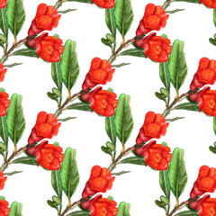 Seamless pattern with flowers of pomegranate