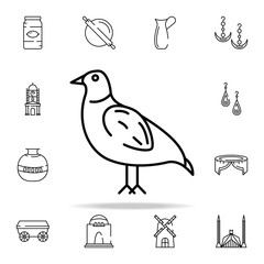 chukar partridge icon. pakistan culture and landmarks icons universal set for web and mobile