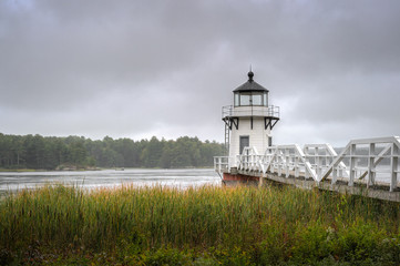 Cattails and Doubling Point Lighthouse