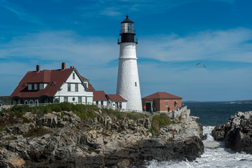 Fototapeta na wymiar Portland Head Lighthouse and Seagull