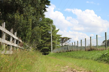 wooden fence in a field
