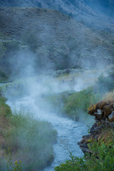 Early summer morning at the Boiling River near Mammoth Hot Springs in Yellowstone National Park