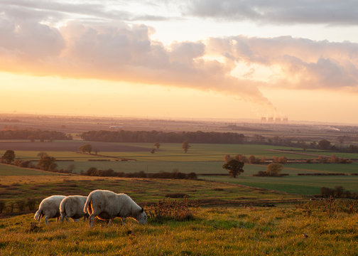 Scopwick รูปภาพLincolnshire – เลือกดูภาพถ่ายสต็อก เวกเตอร์ และวิดีโอ12,139 ...