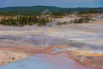 Steam rises from geothermal features in Yellowstone National Park