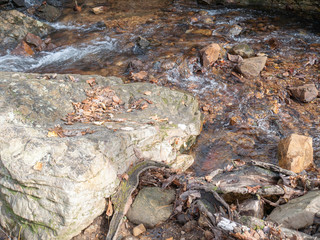 A stream flowing through the forest in Calhoun County, Alabama, USA