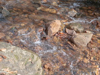 A stream flowing through the forest in Calhoun County, Alabama, USA