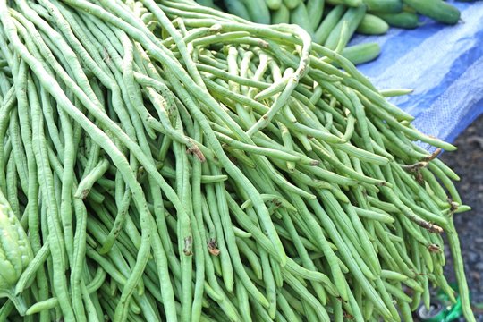 Long beans at market