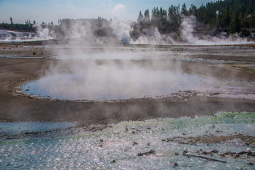 Steam rises from a geothermal area in Yellowstone National Park