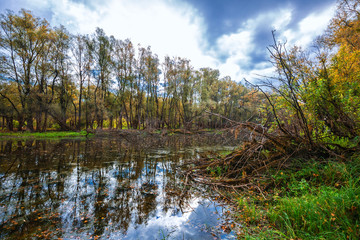 Obraz premium Autumn on river. Western Siberia
