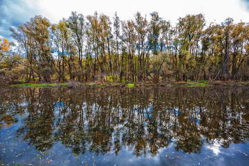 Autumn on river.  Western Siberia