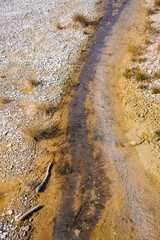 Colorful abstract vertical view of a geothermal feature in Yellowstone National Park