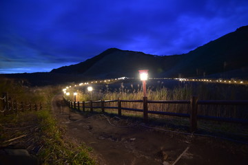 奈良のススキの山の夜景
