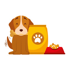 domestic dog with food