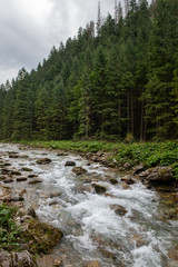 River in the Tatra Mountains, Poland