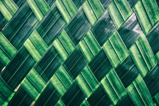 green foliage interlace texture background, zigzag weave of palm leaf Stock  Photo | Adobe Stock
