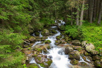 Obraz premium River in the Tatra Mountains, Poland