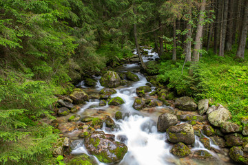 Fototapeta na wymiar River in the Tatra Mountains, Poland