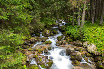 Fototapeta na wymiar River in the Tatra Mountains, Poland