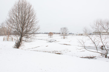 Winter landscape with trees and creek 