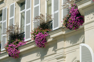 Ville d'Epernay, façade fleurie de l'Hôtel de Ville, département de la Marne, France