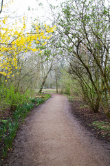 Landscape of Vondelpark,Amsterdam