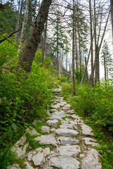 Obraz premium Hiking path in the Tatra Park