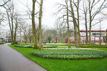 Landscape of the Keukenhof Park in Lisse, South Holland, Netherlands