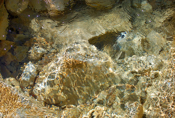 Dappled light on the yellow-white colored South Miineral Creek in the San Juan Rockies of Colorado