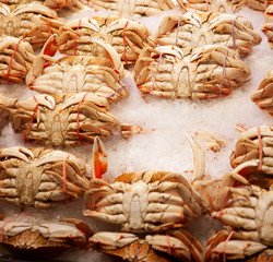 Crabs in the market