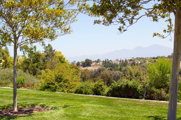 Luscious green vegetation landscape of a hill seen from from a park in Laguna Niguel, California