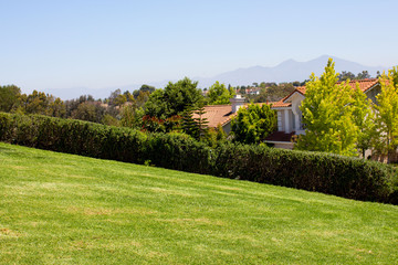 Luscious green vegetation landscape from a park in Laguna Niguel, California