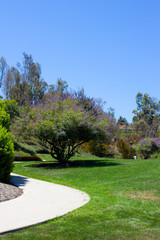 Fototapeta na wymiar Luscious green vegetation landscape from a park in Laguna Niguel, California