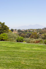 Fototapeta na wymiar Luscious green vegetation landscape from a park in Laguna Niguel, California