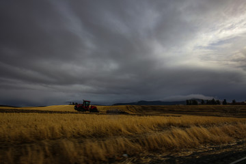 Palouse Fields