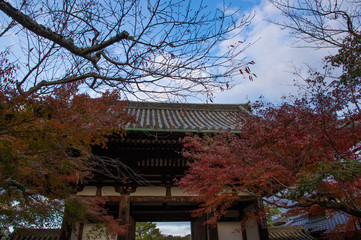 Ishiymadera red leaves at Shiga, Japan
