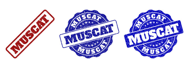 MUSCAT scratched stamp seals in red and blue colors. Vector MUSCAT overlays with scratced surface. Graphic elements are rounded rectangles, rosettes, circles and text titles.