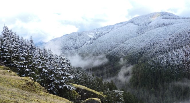 First Snow in West Central Cascades 2018 - 8