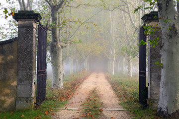 Open iron gate on foggy path