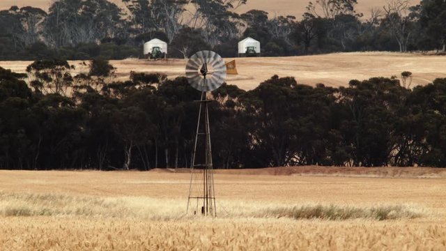 Windmill in a paddock of golden wheat on an Australian farm, with two field bins in the background, ready for harvest