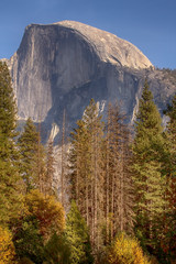 Scenic Half Dome in Yosemite National Park in California