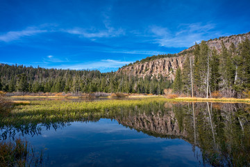 Trees around the lake in Mammoth Lakes, California
