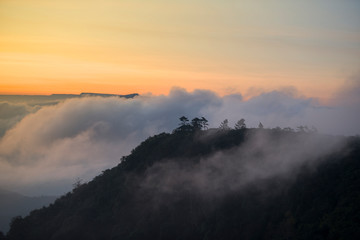 foggy landscape / the morning beautiful sunrise mist cover mountain background - forest hill mist fog flow with wind and orange sky
