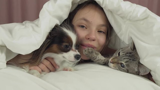 Happy teen girl communicates with dog Papillon and Thai cat in bed stock footage video