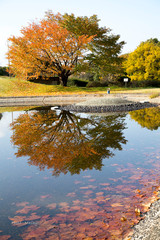 水に映る紅葉