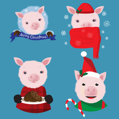 Christmas collection with four funny pigs on the blue background