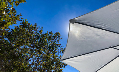 Umbrella Blocking the sunshine in the spring