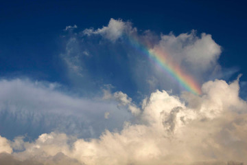 Naklejka na ściany i meble 青空に白い雲と虹