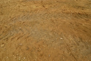 Straw and sand