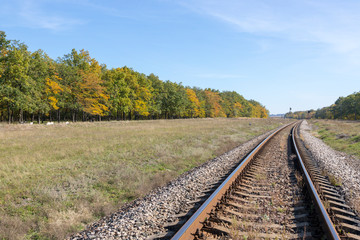 Autumn landscape with railway and oak grove