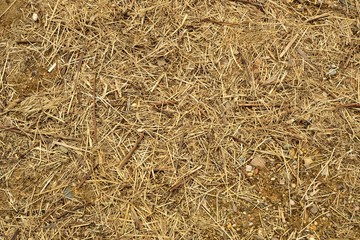 Straw, stones and sand